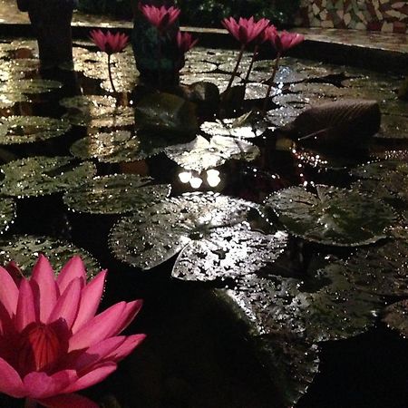 The Lotus Garden Bed and Breakfast Puerto Princesa Buitenkant foto