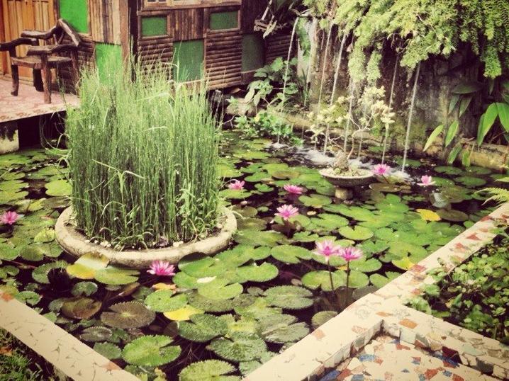 The Lotus Garden Bed and Breakfast Puerto Princesa Buitenkant foto